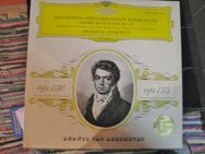 (2) CA 100 Stk--Klassik Große LPs Vinyl--Verschiedene Siehe dazu die Fotos ab 3 € - Meckenheim