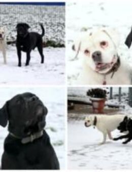 süsses Doppelpack sucht - Bad Oeynhausen