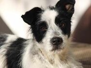 Theodor, Familie mit Kindern gesucht - Bad Vilbel