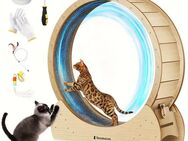 Katzenlaufrad XL – Super leises Laufvergnügen für Ihre Katze - Ingolstadt