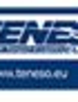 Sachbearbeiter Technical Distribution Europa (m/w/d) - Raunheim