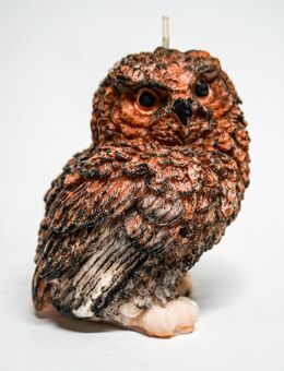 Eule Kerze, Kerzen handgemacht, Figurenkerze, Deko Kerze, Geschenk Kerze, Baumwoll Docht, Premium Wachs, ca. 250g - Boppard