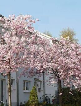 Eigenheim in ruhiger, grüner Wohnlage als langfristige Perspektive - Bernau (Berlin)