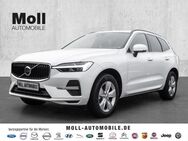 Volvo XC60, Core B4 Benzin EU6d digitales Sitze Scheinwerferreg, Jahr 2022 - Bergheim (Nordrhein-Westfalen)