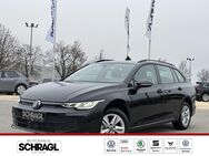 VW Golf Variant, 1.5 TSI VIII LIFE APP, Jahr 2024 - Mindelheim