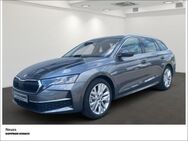 Skoda Octavia, 2.0 TDI COMBI SELECTION 110KW, Jahr 2024 - Neuss