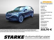 Skoda Kodiaq, 2.0 TDI Drive, Jahr 2020 - Osnabrück