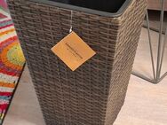 2 Rattan-Blumentöpfe, neu, LxBxH: 31x31x50 cm - Bremen