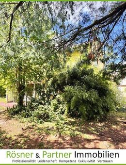 *Marxheim! Abrissgrundstück mit Altsubstanz in ruhiger Lage - Bebaubar mit EFH, DH o. 2-FH* - Hofheim (Taunus)