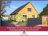 Frisch modernisiertes Einfamilienhaus mit vielseitigen Nutzungsmöglichkeiten in Westerholt - Westerholt
