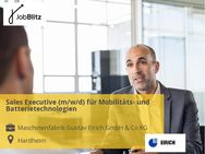 Sales Executive (m/w/d) für Mobilitäts- und Batterietechnologien - Hardheim