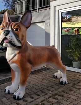 Dekofigur französische Bulldogge XXL 175 cm hoch NEU kostenlose Anlieferung - Hergisdorf
