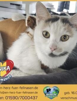 Anika träumt von einem eigenen Zuhause! - Waakirchen