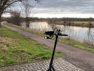 Segway-Ninebot G2 d - Nienburg (Saale)