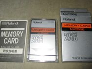 Roland M-256E MEMORY CARD (Vintage - New!) - Groß Gerau