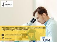 Postdoc (m/w/d) Biological Sciences, Biomedical Engineering or related fields - Münster