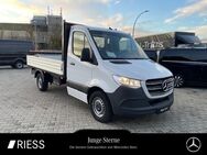 Mercedes Sprinter, 317 Pritsche RS3665mm, Jahr 2023 - Ravensburg