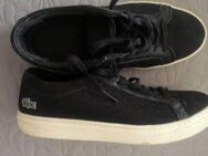 Sneaker Lacoste Gr 40 - Gochsheim