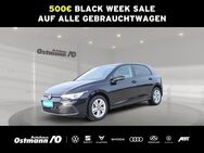 VW Golf, 1.5 TSI VIII Life, Jahr 2020 - Hofgeismar