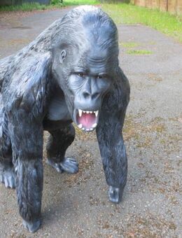 Affe Gorilla wütend aus GFK Dekofigur für Haus und Garten - Hergisdorf