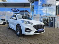 Ford Kuga, 2.0 EcoBlue Hybrid ST-LINE X, Jahr 2020 - Alzey