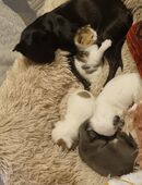 Siehst Du Mich? in 84130