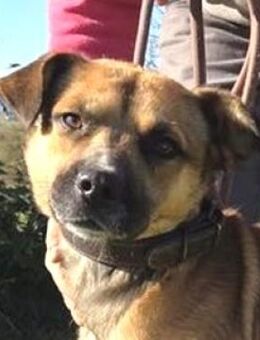 BONNY möchte ein normales Leben - Gefrees