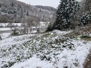 Baugrundstück ohne Bauzwang direkt an der Schweizer Grenze - Stühlingen