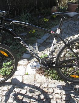 sehr leichtes Alu - Marken - MTB ( STUMPJUMPER ) - Germering Zentrum