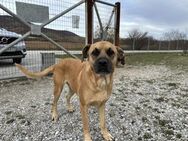 Boomer Und es hat Boom gemacht! - Rostock