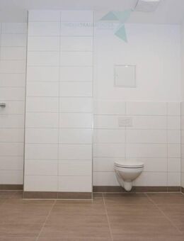 + TOP Angebot + Modern sanierte 1-Raum-Wohnung mit Aufzug und bodentiefer Dusche! - Zwickau