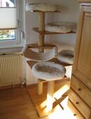 Kratzbaum aus Holz, Eigenbau, Tischlerplatte verleimt! in 71126