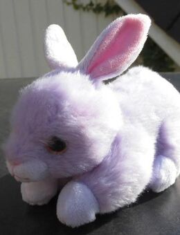 Ty Beanie Babies Hase Ryley Stofftier Kuscheltier Plüschtier 3,- - Flensburg