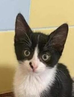 Mariona in Bulgarien - Ingolstadt