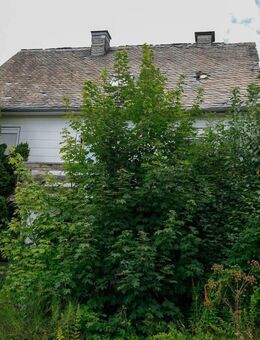 Sie sind kreativ? Wir haben eine Herausforderung für Sie! - Winterberg