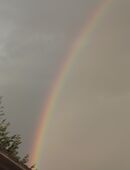 Neues Familienmitglied in 86609