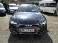 Audi A4 g-tron sport - Bergneustadt