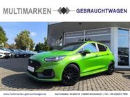 Ford Fiesta ST 1.5 EcoBoost EU6d Navi/Leder/B&O/CarPl - Bickenbach (Hessen)