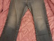 Jeans von esmara CALLA DENIM in Größe 46 - Maintal