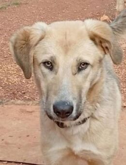 Luka-intelligent und menschenbezogen - Mettmann