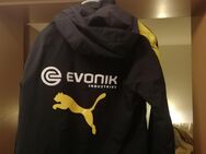 Seltene und beliebte BvB Jacke - Gevelsberg