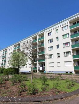 * Singlewohnung * Dichterviertel * sofort * - Halle (Saale)