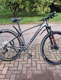 MTB Orbea Alma - Losheim (See)