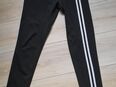 Leggings xl in 01968