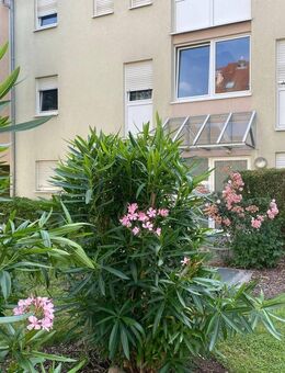 Nicht verpassen! 3-Zimmer-Erdgeschosswohnung mit Balkon in ruhiger Lage von Ruchheim - Ludwigshafen (Rhein)