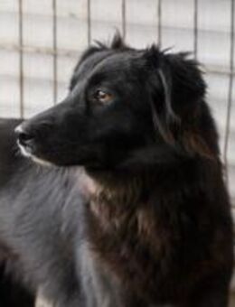 Darja sehnt sich nach Zuwendung! - München