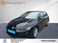 VW Golf, 2.0 TDI VIII Life, Jahr 2023 - Lüneburg