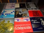 40 Schallplatten LPs - Spiesen-Elversberg