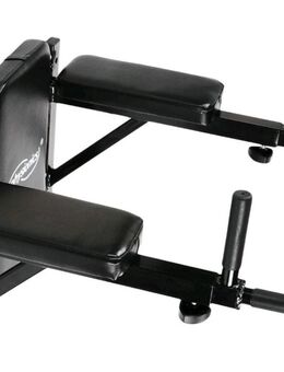 Physionics Gym Dip-Station Wandmontage NEU - Ellwangen (Jagst)