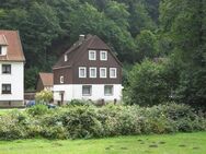 Direkt am Waldrand gelegen 1 - 2 Fam.-Haus für Naturliebhaber im Luft - Kur Ort Zorge Süd/Harz. - Walkenried